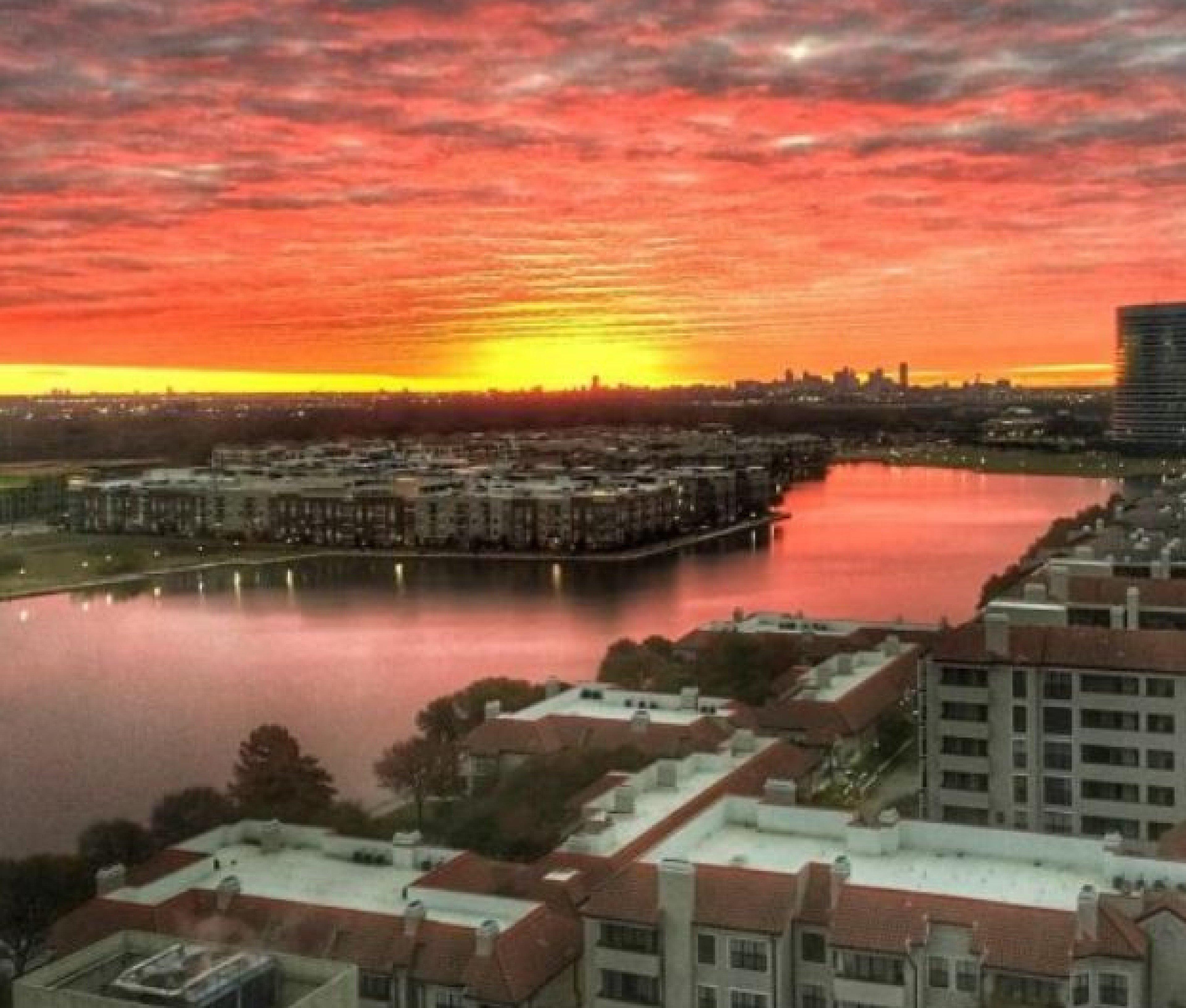 Sonesta Simply Suites Dallas Las Colinas Irving Buitenkant foto